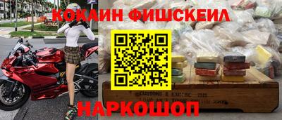крисы Кулебаки