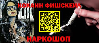 крисы Кулебаки