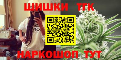 крисы Кулебаки