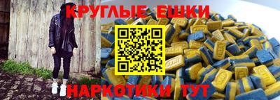 крисы Кулебаки