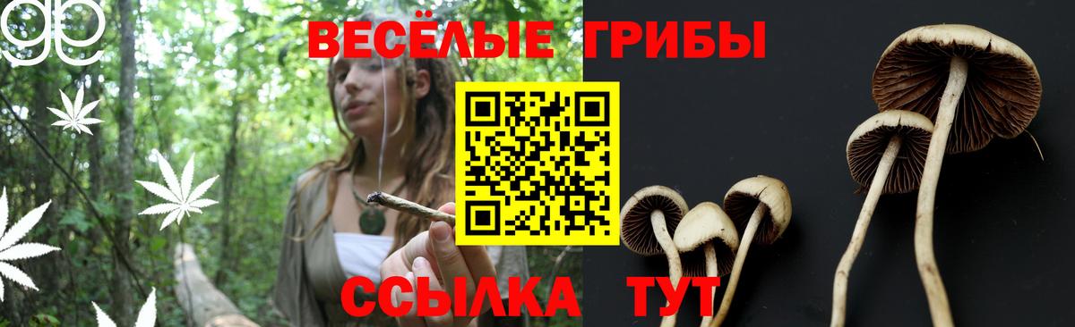 Галлюциногенные грибы мухоморы Энгельс