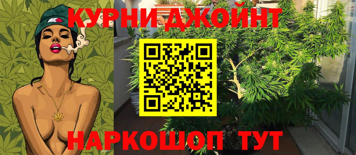 Канабис гибрид  Вход с VPN  Каннабис индика  Марихуана ГИДРОПОН  Энгельс 